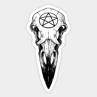 Raven skull. Pentagram Sticker